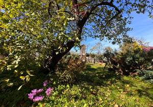 Дом 35м², 1-этажный, участок 5 сот.