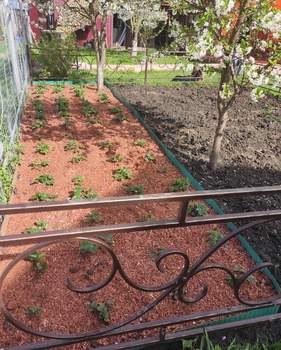 Дом 130м², 1-этажный, участок 5 сот.