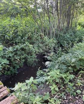 Дом 24м², 2-этажный, участок 10 сот.