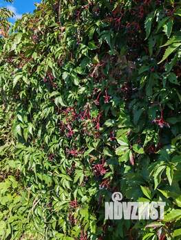 Дом 147м², 2-этажный, участок 5 сот.