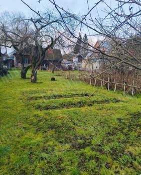 Дом 44м², 1-этажный, участок 7 сот.