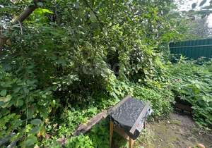 Дом 213м², 1-этажный, участок 7 сот.