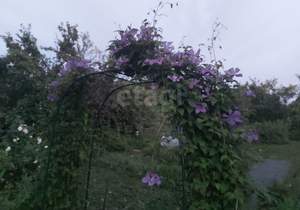 Дом 45м², 2-этажный, участок 11 сот.