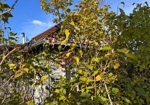 Дом 35м², 1-этажный, участок 5 сот.