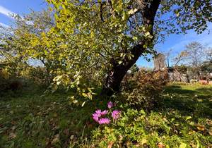 Дом 35м², 1-этажный, участок 5 сот.