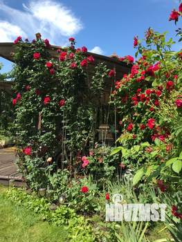 Коттедж 407м², 2-этажный, участок 9 сот.  