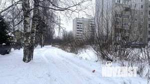 Дом 74м&sup2;, 1-этажный, участок 6 сот.  