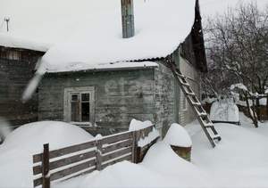 Дом 37м&sup2;, 1-этажный, участок 3 сот.  