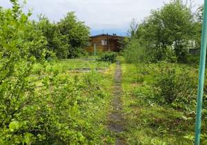 Дом 24м&sup2;, 2-этажный, участок 7 сот.  