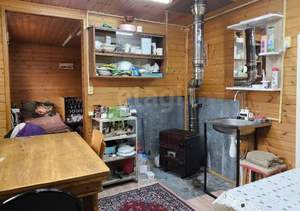 Дом 24м&sup2;, 2-этажный, участок 7 сот.  