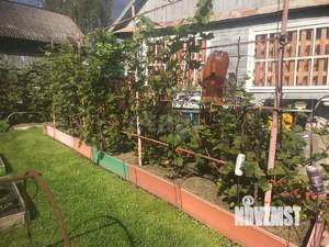 Дом 26м&sup2;, 1-этажный, участок 6 сот.  