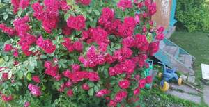 Дом 45м², 2-этажный, участок 11 сот.  