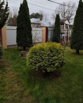 Дом 63м², 1-этажный, участок 4 сот.  