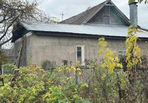 Дом 54м&sup2;, 1-этажный, участок 3 сот.  