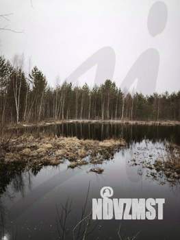 Дом 52м², 2-этажный, участок 6 сот.  