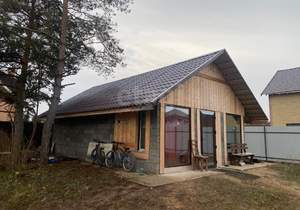 Дом 55м&sup2;, 1-этажный, участок 4 сот.  