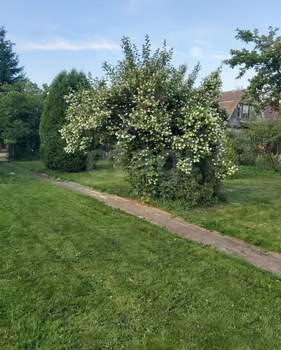 Дом 45м², 2-этажный, участок 11 сот.  