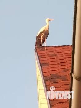 Коттедж 287м², 2-этажный, участок 10 сот.  