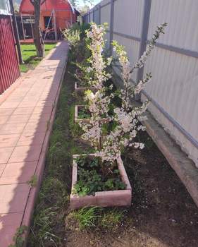 Дом 130м², 1-этажный, участок 5 сот.  