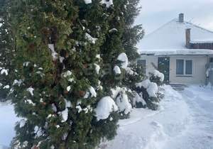 Дом 72м&sup2;, 1-этажный, участок 6 сот.  