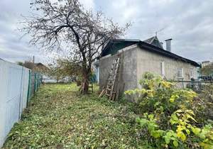 Дом 54м&sup2;, 1-этажный, участок 3 сот.  