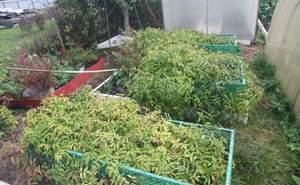 Дом 114м&sup2;, 2-этажный, участок 10 сот.  