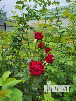 Коттедж 300м&sup2;, 2-этажный, участок 30 сот.  