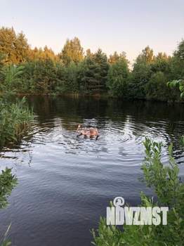 Дом 100м², 2-этажный, участок 75 сот.  
