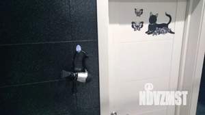 1-к квартира, посуточно, 45м2, 5/9 этаж