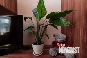 1-к квартира, посуточно, 50м2, 10/10 этаж