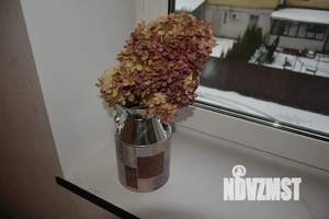 1-к квартира, посуточно, 30м2, 2/3 этаж