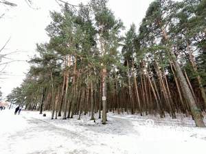Студия квартира, посуточно, 30м2, 10/17 этаж