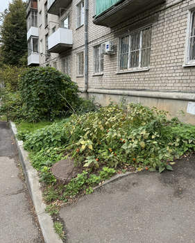 2-к квартира, на длительный срок, 40м2, 1/4 этаж