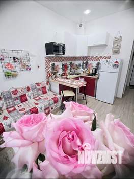Студия квартира, на длительный срок, 29м2, 8/17 этаж