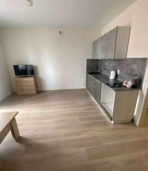 Студия квартира, на длительный срок, 24м2, 9/10 этаж