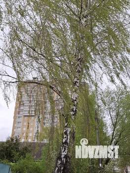 1-к квартира, на длительный срок, 40м2, 2/16 этаж