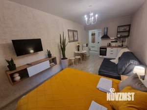 Студия квартира, посуточно, 26м2, 2/3 этаж
