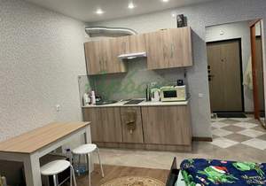 Студия квартира, на длительный срок, 25м2, 12/12 этаж