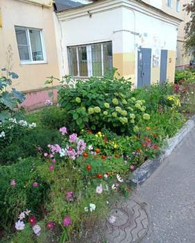 3-к квартира, вторичка, 62м2, 5/9 этаж
