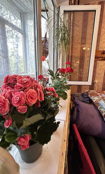 2-к квартира, вторичка, 44м2, 4/5 этаж