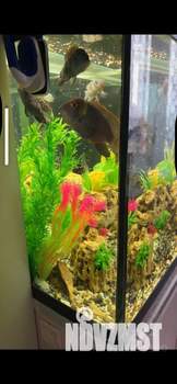 3-к квартира, вторичка, 77м2, 7/22 этаж