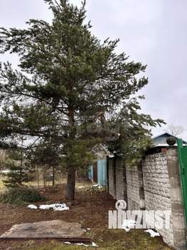 3-к квартира, вторичка, 56м2, 1/1 этаж