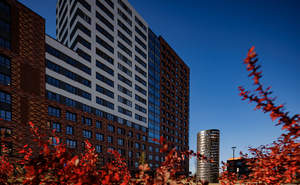 Студия квартира, вторичка, 28м2, 5/9 этаж