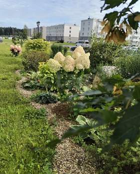 1-к квартира, вторичка, 40м2, 1/4 этаж