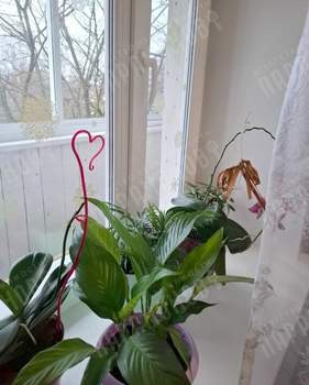 2-к квартира, вторичка, 53м2, 5/12 этаж