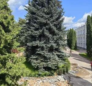 Студия квартира, вторичка, 22м2, 2/3 этаж
