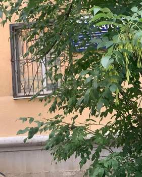 2-к квартира, вторичка, 41м2, 1/5 этаж