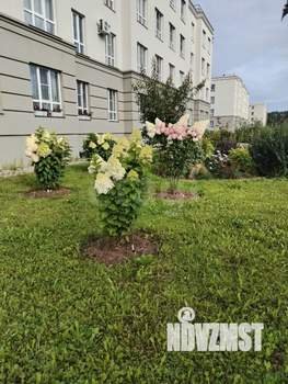 1-к квартира, вторичка, 40м2, 1/4 этаж