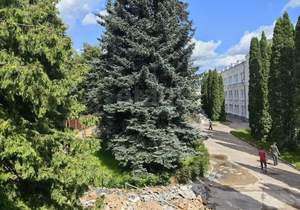 Студия квартира, вторичка, 17м2, 2/3 этаж