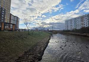 1-к квартира, сданный дом, 46м2, 19/22 этаж